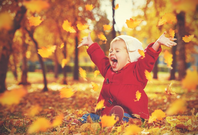 happy little child, baby girl laughing and playing in autumn